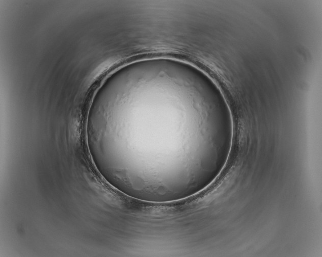X0000111881163200907231529
