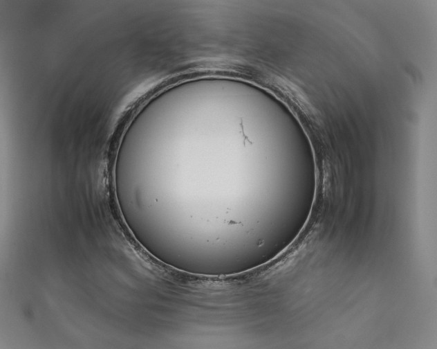 X0000111881164200907231529