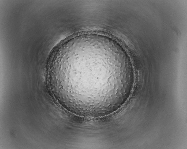 X0000111881165200907231529