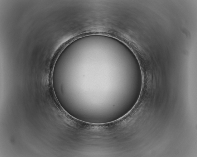 X0000111881166200907231529