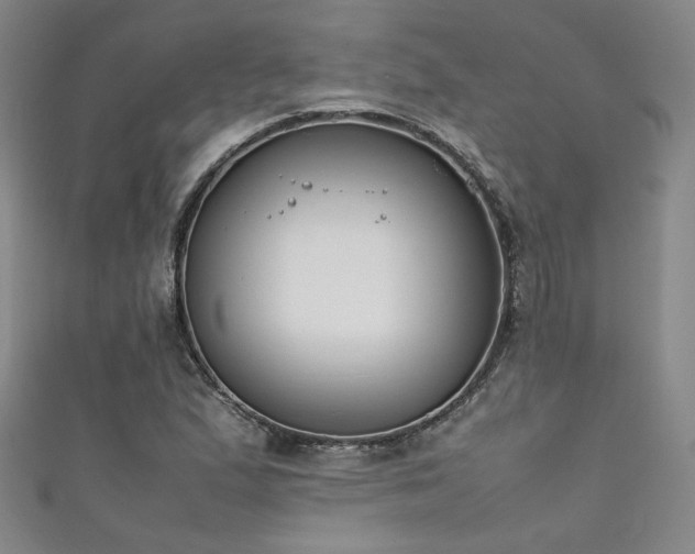 X0000111881167200907231529