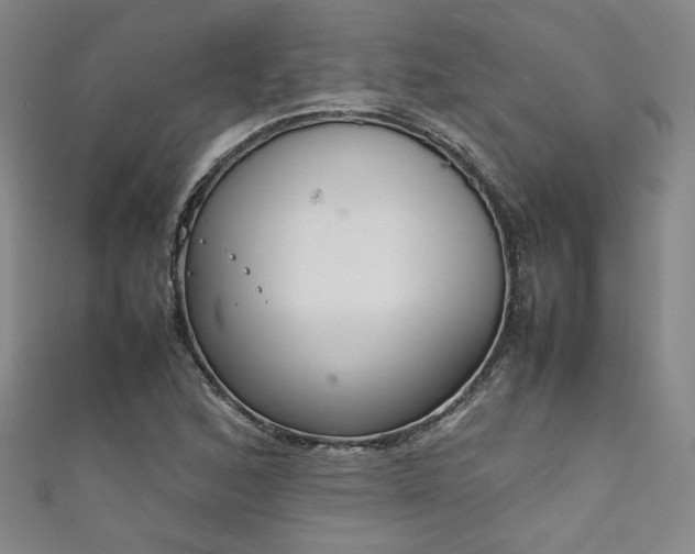 X0000111881168200907231529