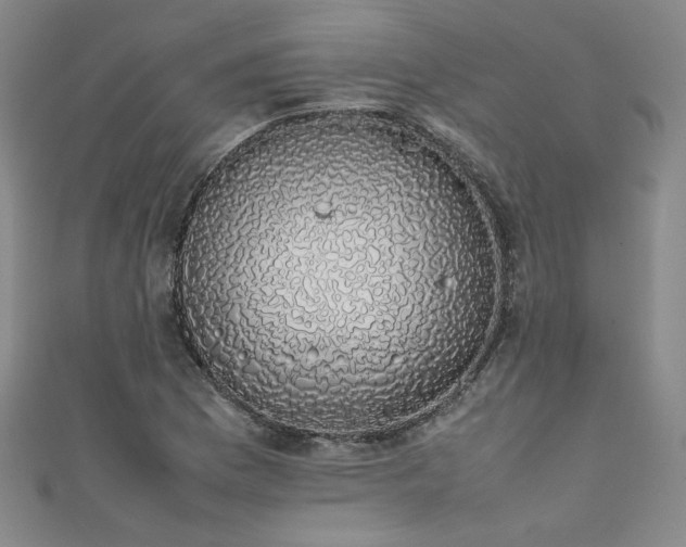 X0000111881169200907231529