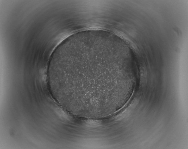 X0000111881170200907231529