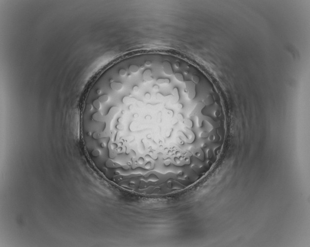 X0000111881171200907231529