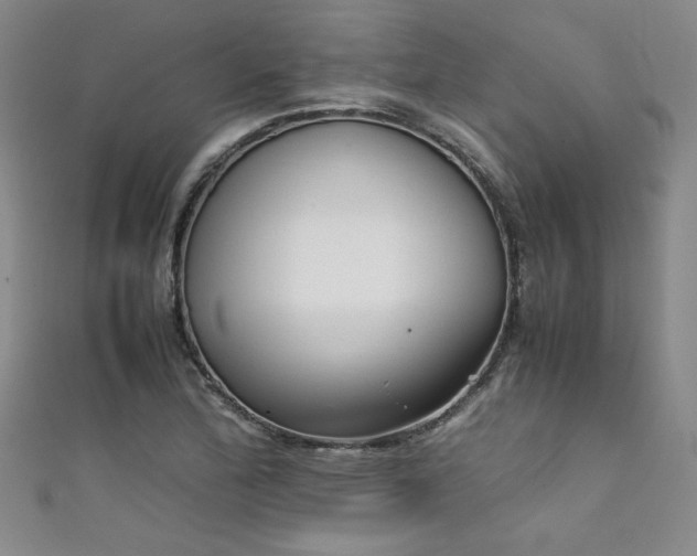 X0000111881172200907231529