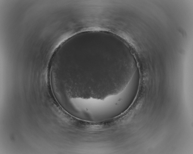 X0000111881173200907231529