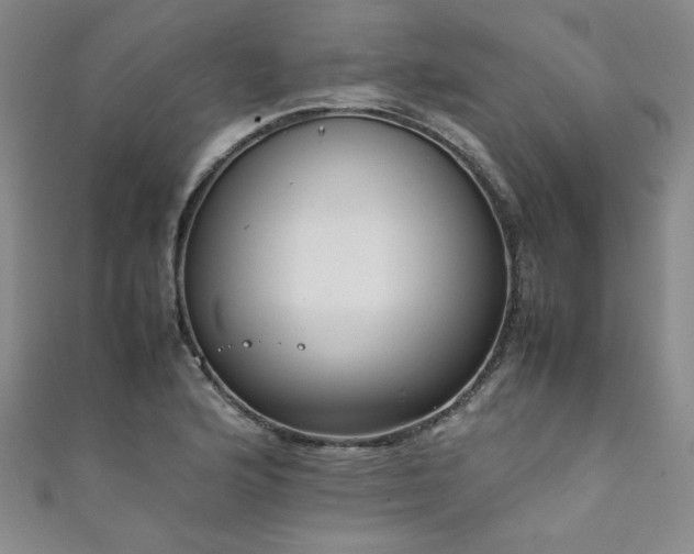 X0000111881176200907231529