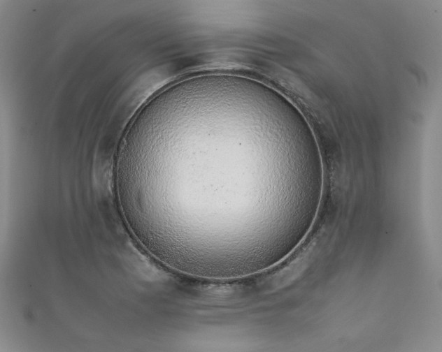 X0000111881177200907231529