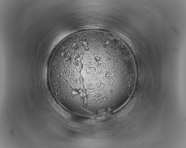 X0000111881179200907231529