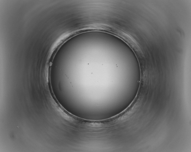 X0000111881180200907231529