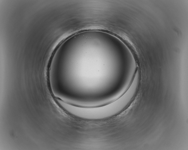 X0000111881181200907231529