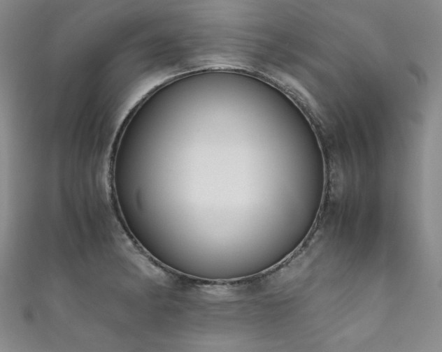 X0000111881182200907231529