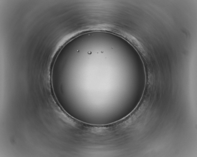X0000111881184200907231529