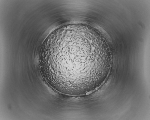 X0000111881185200907231529