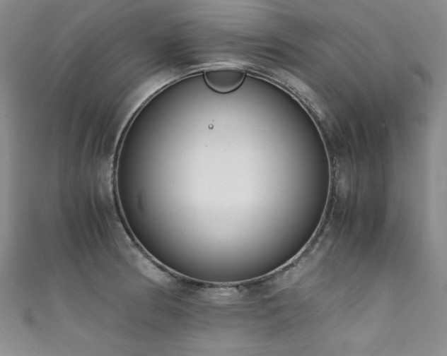X0000111881186200907231529