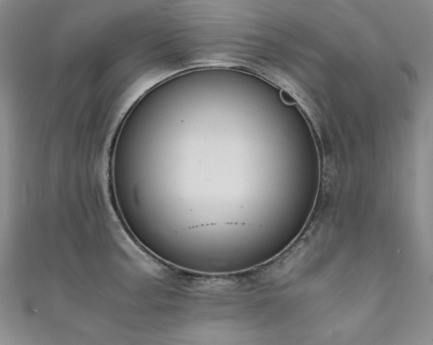 X0000111881187200907231529