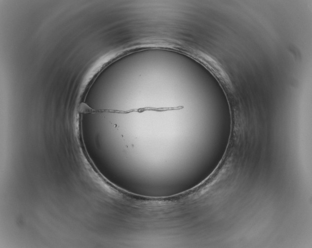 X0000111881188200907231529