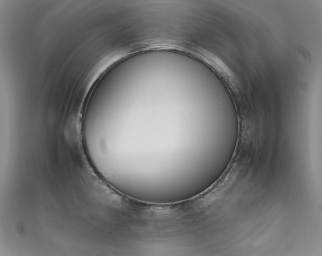 X0000111881190200907231529