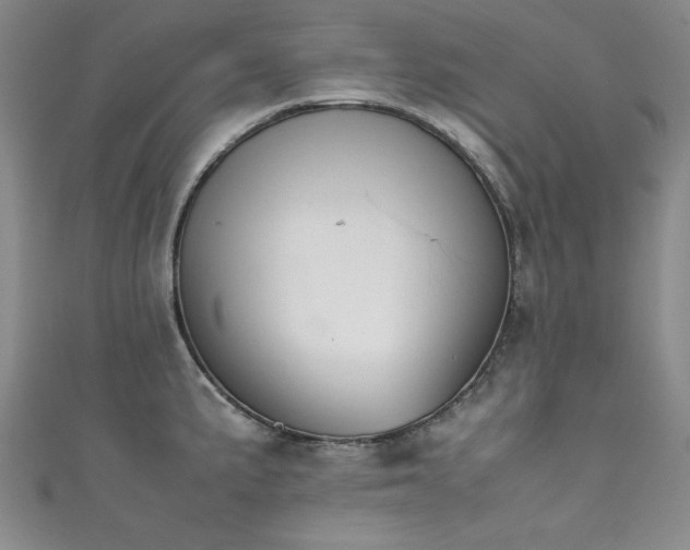 X0000111881191200907231529