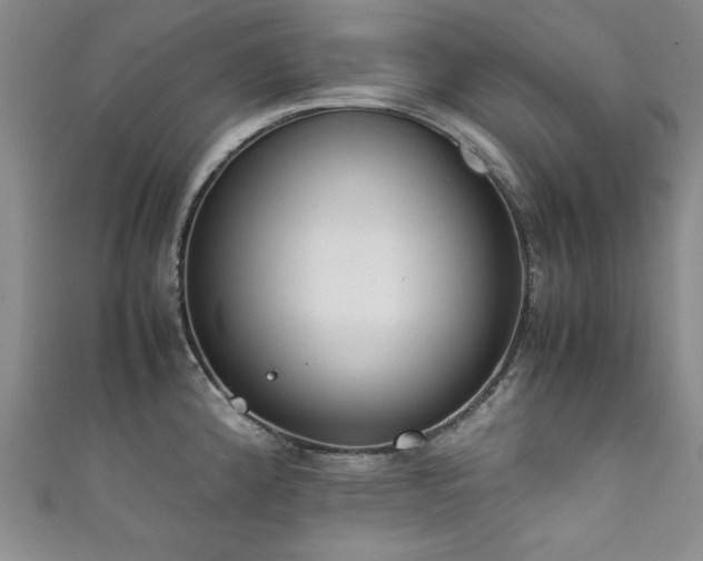 X0000111881192200907231529