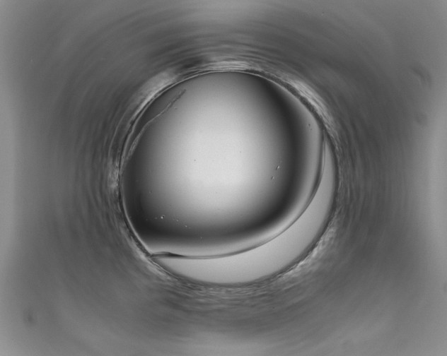 X0000111881193200907231529