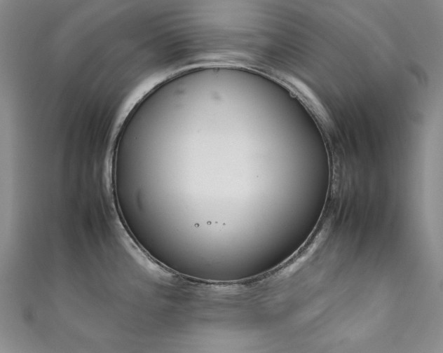 X0000111881196200907231528