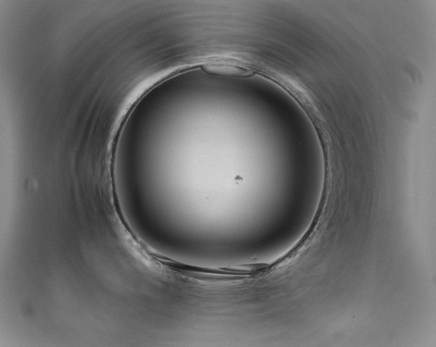 X0000111881200200907231528