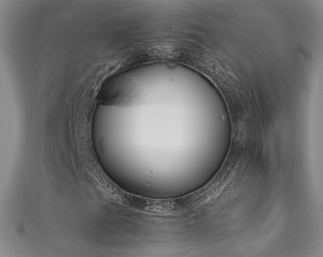 X0000111881201200907231528