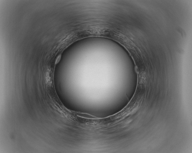 X0000111881202200907231528
