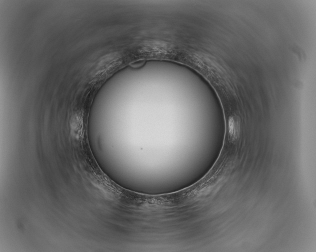 X0000111881203200907231528