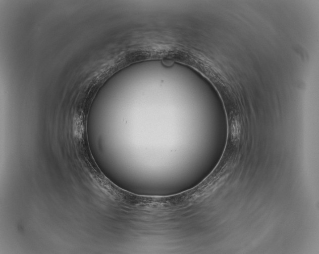 X0000111881204200907231528