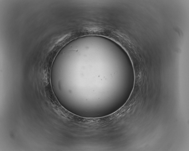 X0000111881205200907231528