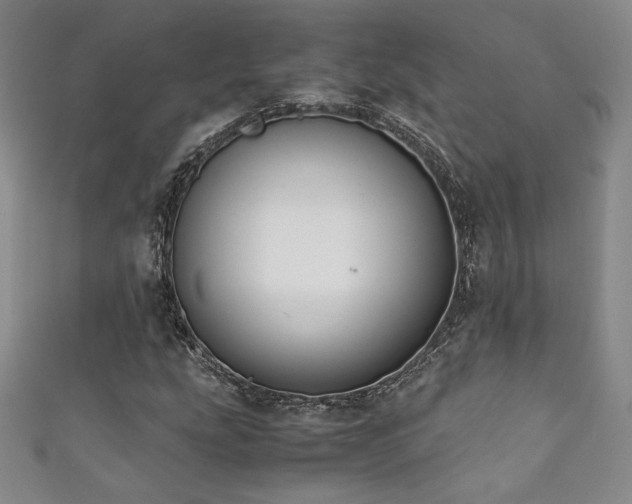 X0000111881207200907231528