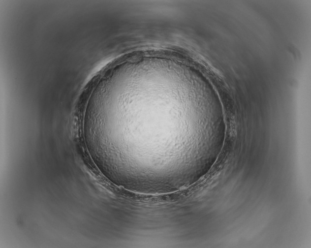 X0000111881208200907231528