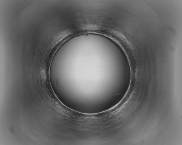 X0000111881209200907231528