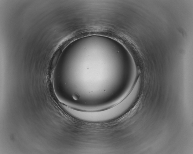 X0000111881210200907231528
