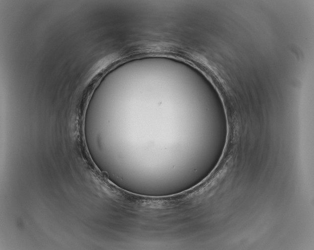 X0000111881211200907231528