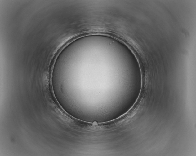 X0000111881212200907231528