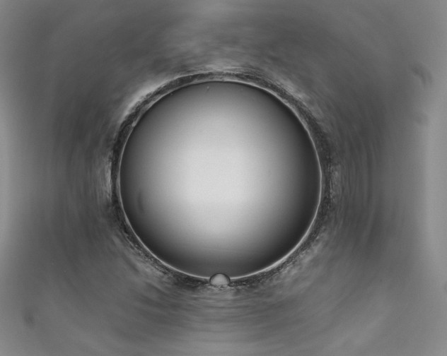 X0000111881214200907231528