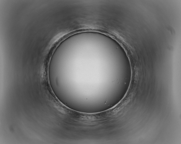 X0000111881215200907231528