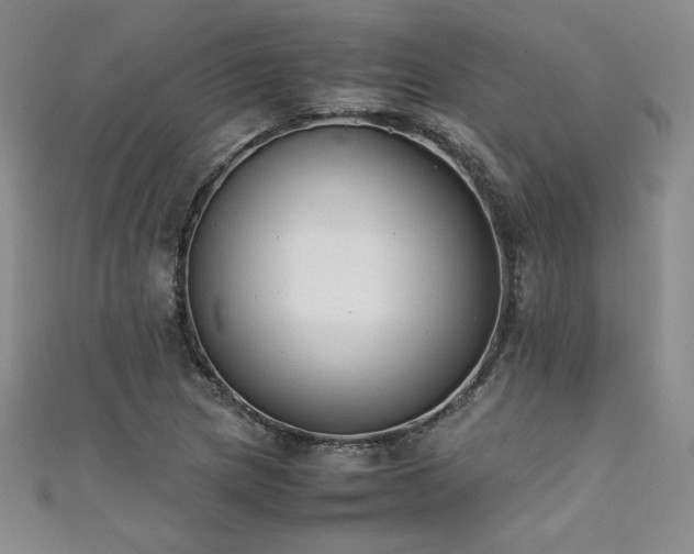 X0000111881217200907231528