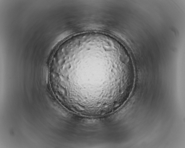 X0000111881219200907231528