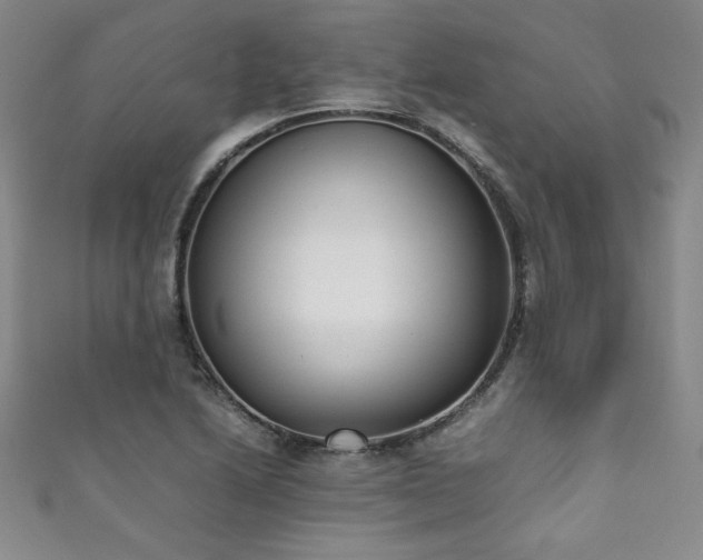 X0000111881222200907231528