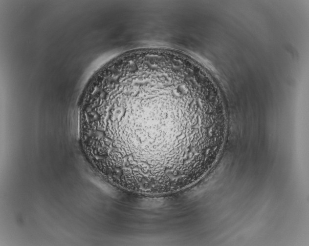 X0000111881223200907231528