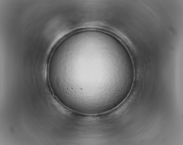 X0000111881224200907231528