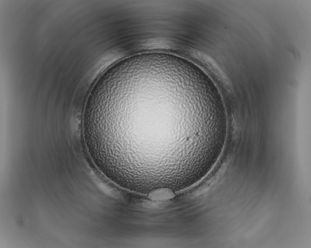 X0000111881225200907231528