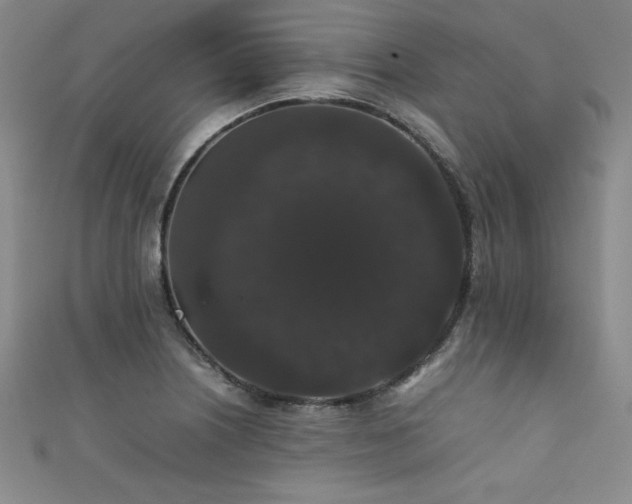 X0000111881226200907231528