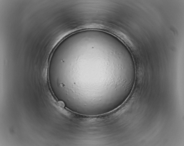 X0000111881228200907231528