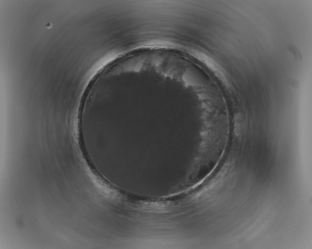 X0000111881229200907231528